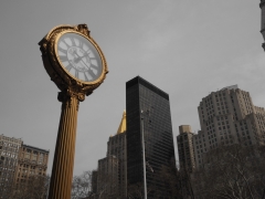 New York Time