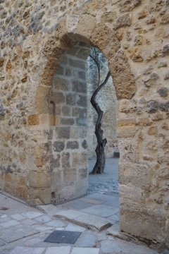 Castelo de São Jorge