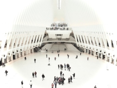 Inside the Oculus
