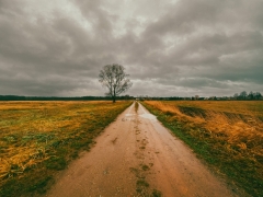 Dreary Day Sachen Anhalt