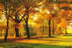 Autumn Sunset (2015)
