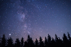 Starry Starry Nights