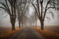 Tannenwald Allee (2023)