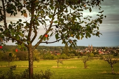 Kirdorferfeld