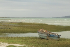 Church Haven