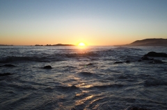 Cape West Coast
