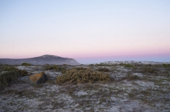 Cape West Coast